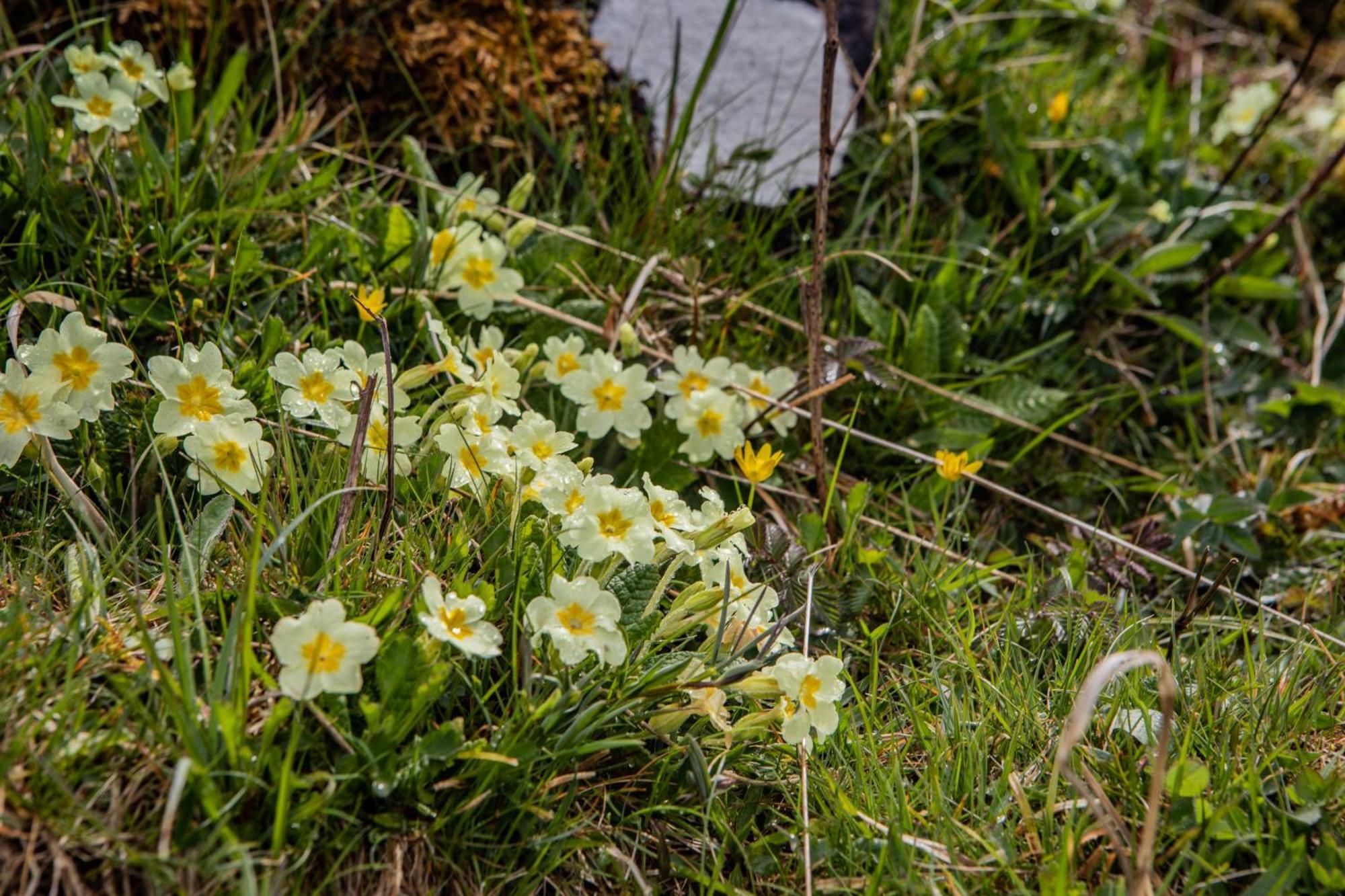 Edinbane Self Catering - On The Croft At Edinbane Villa Luaran gambar
