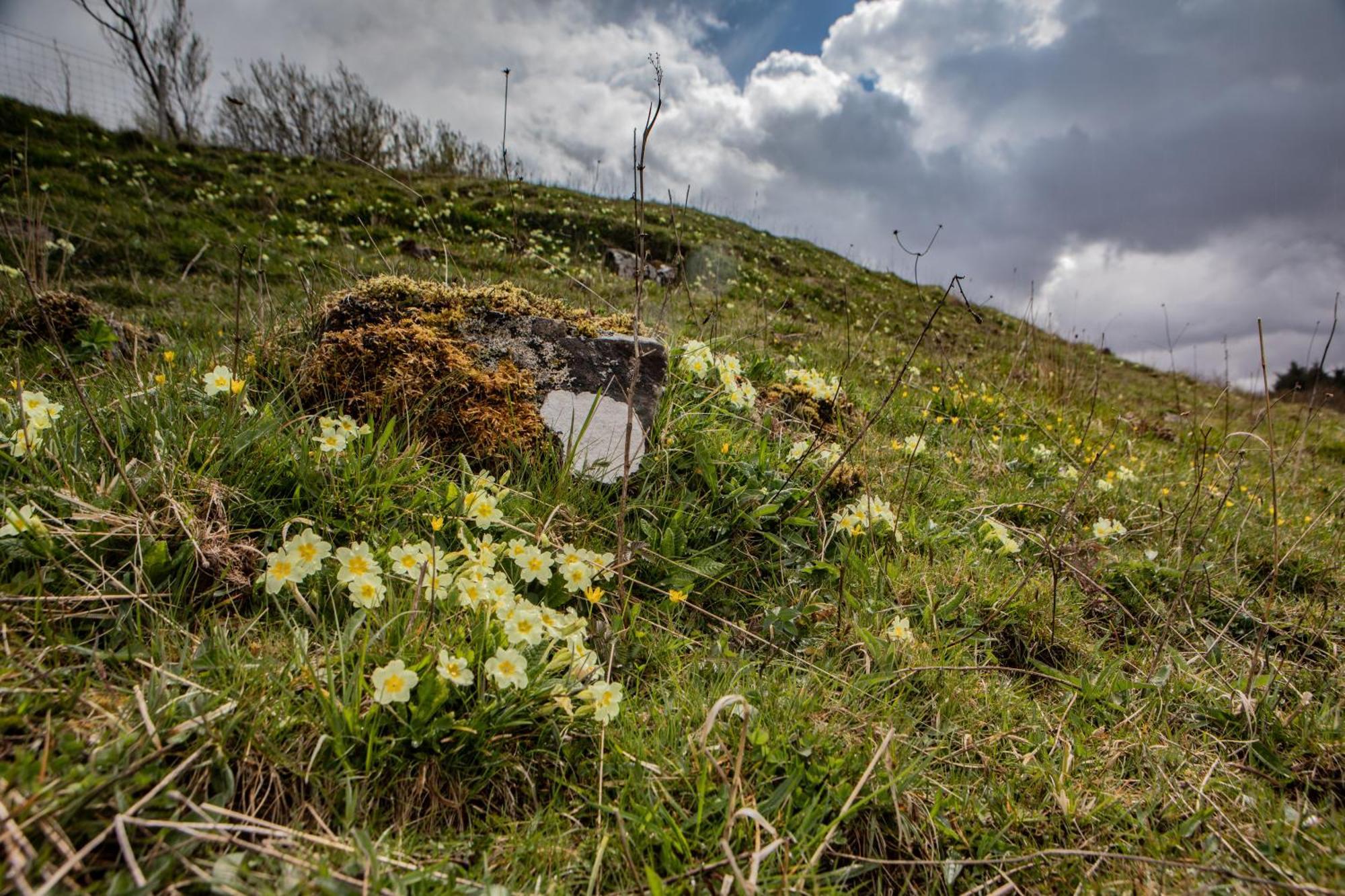 Edinbane Self Catering - On The Croft At Edinbane Villa Luaran gambar